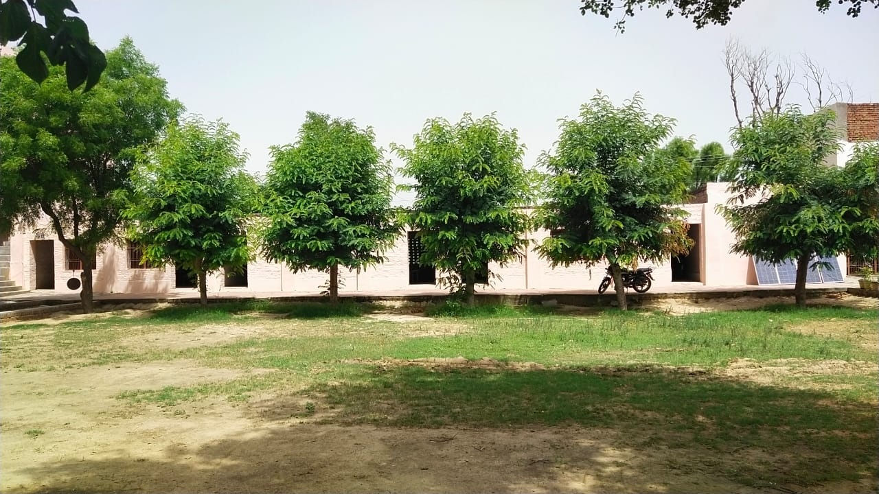Image-7